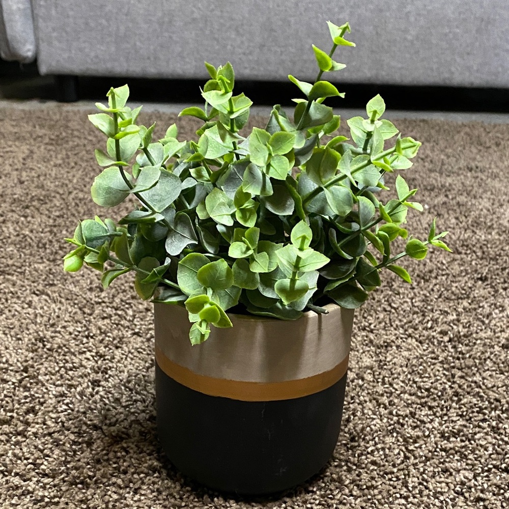 Modern Green Faux Plant in Black and Gold Pot